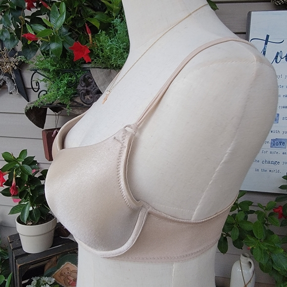 SECRET TREASURES ♡ Sweet Frosted Taupe Thick Padded Front Clasp Push Up Bra 34C - Picture 5 of 17
